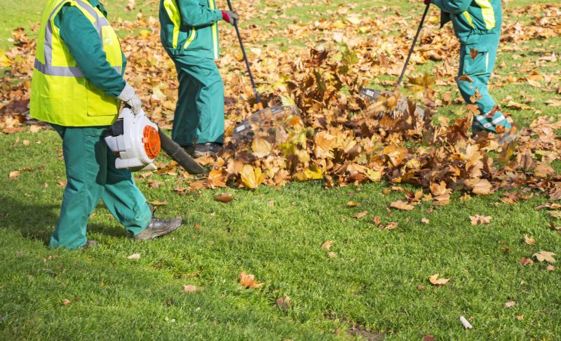 Blowing Leaves into Piles
