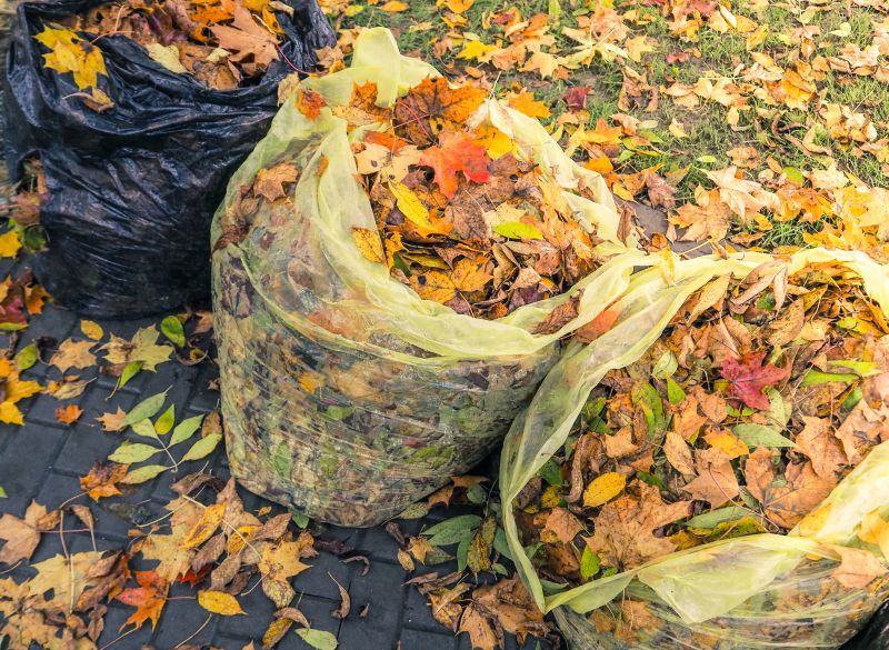 Collected Leaves in Bags